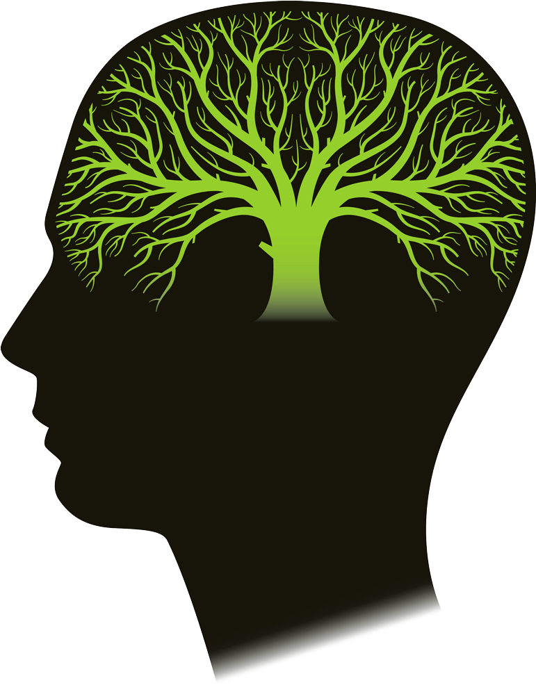 Icon Png Anatomy Pinterest - Arbol De La Vida Budista (770x1000), Png Download