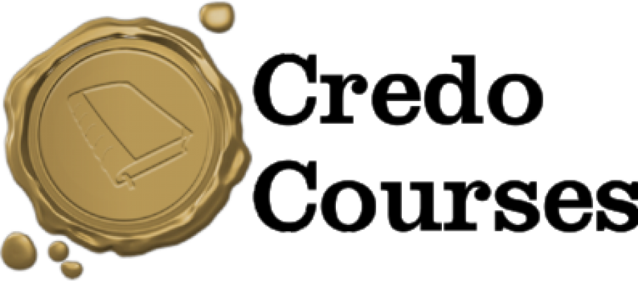 Credo Course Christmas Offer - Bronze Medal (908x400), Png Download