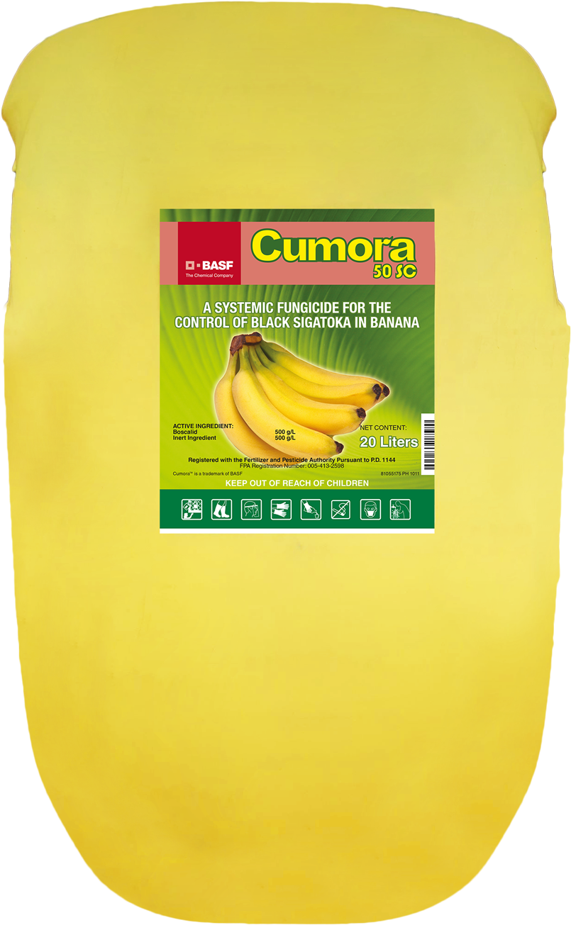 Direction For Use - Banana (1000x1336), Png Download