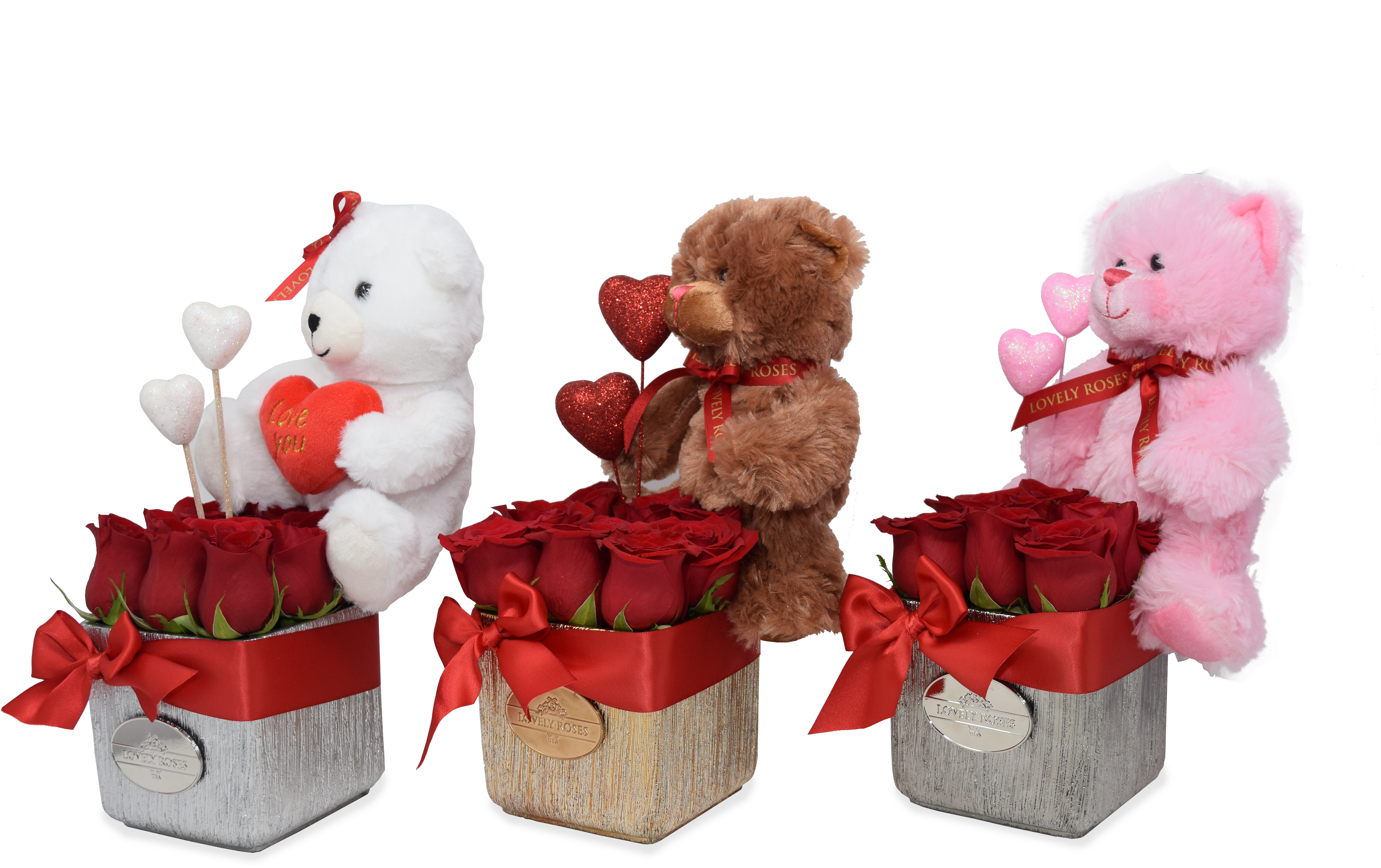 Small Teddy Bear Natural Red Roses Assorted Colors/deliver - Teddy Bear (5000x3333), Png Download