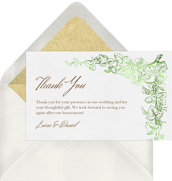 Grapevine Border By Claudia Owen @greenvelope - Envelope (550x581), Png Download