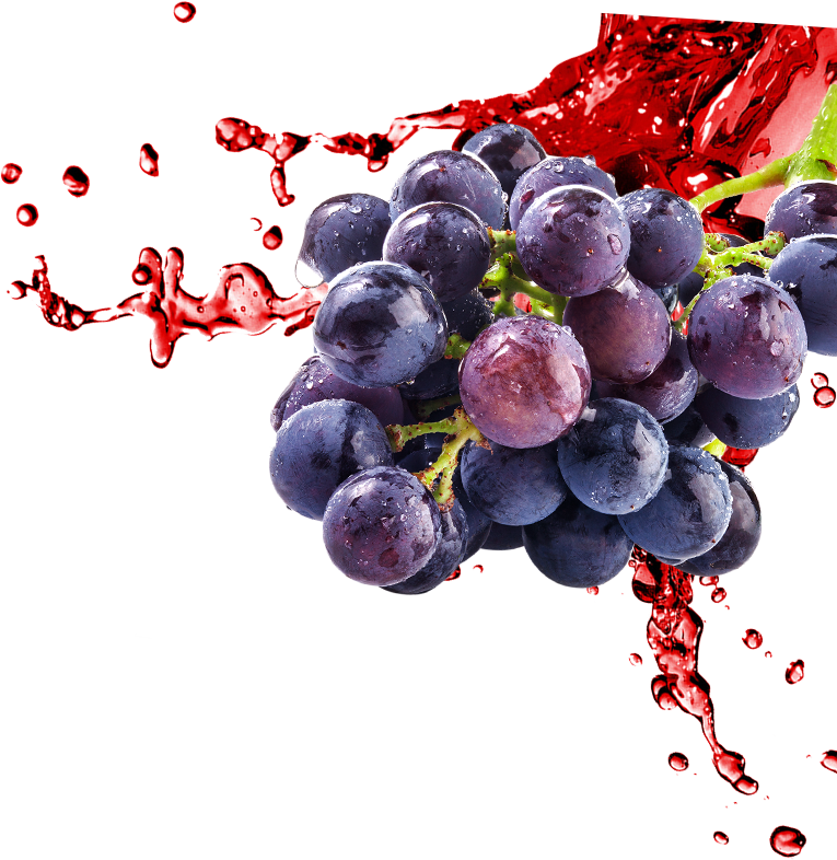 Red Grape Liqui Fruit - Grape Juice Splash Png (765x786), Png Download