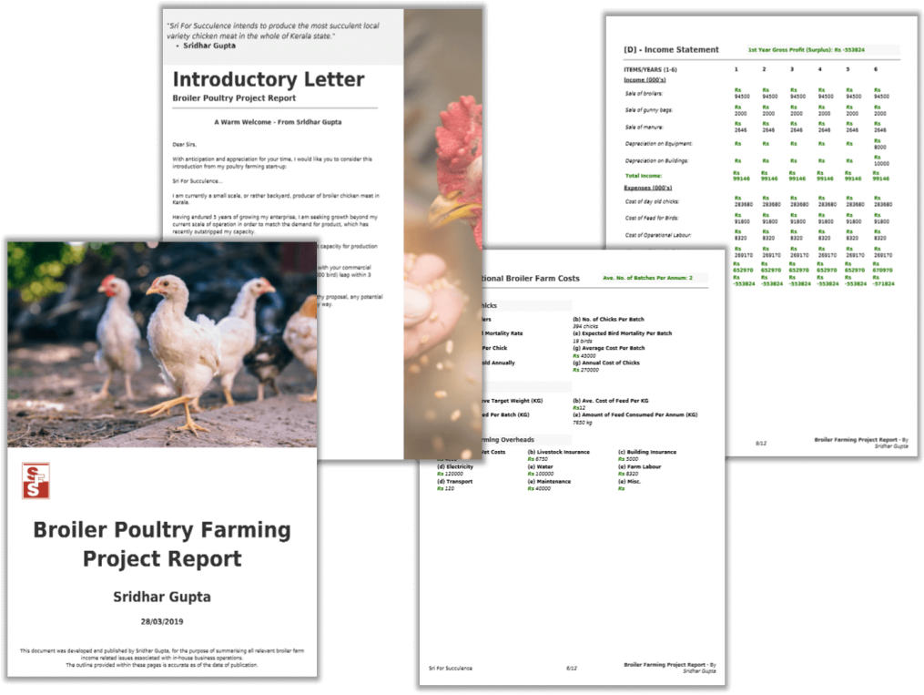 Broiler Farming Project Report Pdf - Chicken (1024x770), Png Download