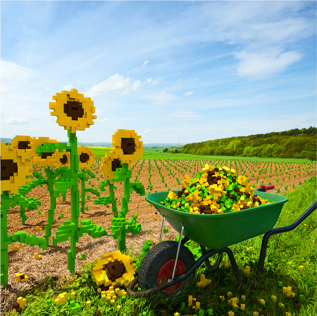 Pixar Render Farm - Field (1440x1080), Png Download