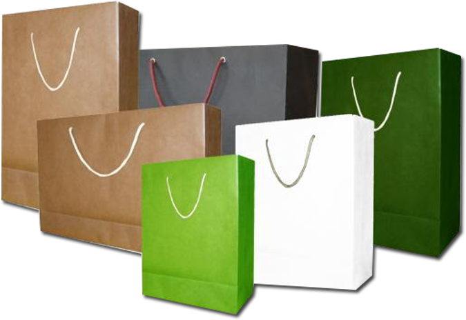 Paper Carry Bags - Paper Bag (880x534), Png Download