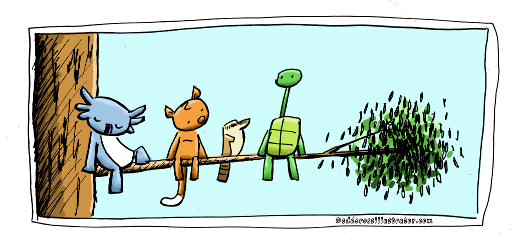 Cute Australian Wildlife Illustration For World Habitat - Cute Australian Animals Cartoon (1024x490), Png Download