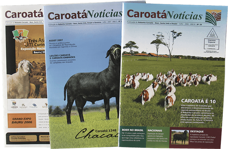 1360 - Goat (1142x902), Png Download