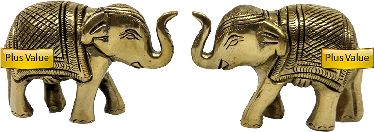 Indian Elephant (800x800), Png Download