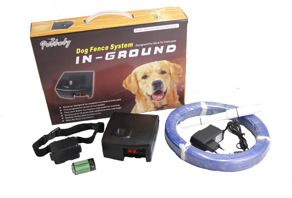 Dog Pet Fencing System - Labrador Retriever (1024x683), Png Download