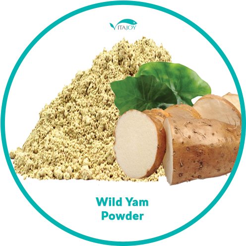 Animal (864x864), Png Download