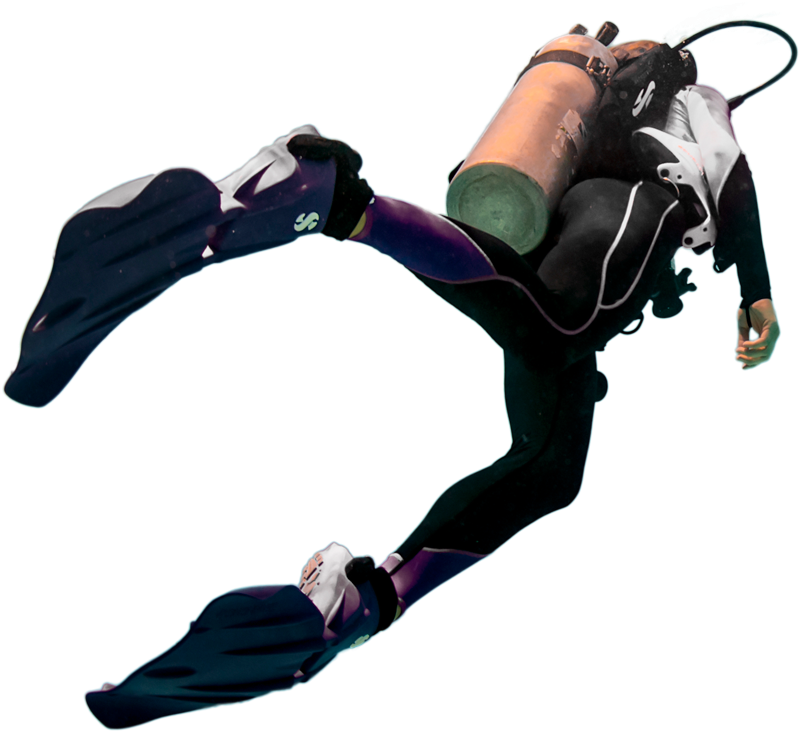 Diver Png, Download Png Image With Transparent Background, - Bungee Jumping (800x1002), Png Download