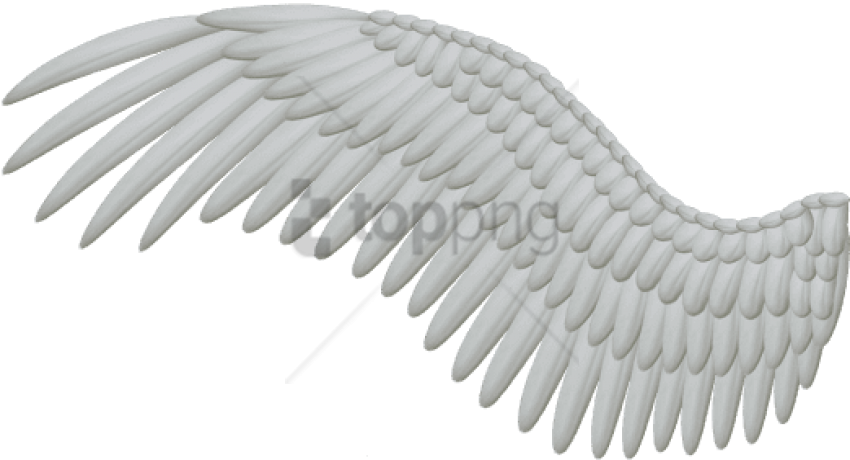 Free Png White Angel Wings Png Image With Transparent - Bird Wings Png (850x460), Png Download