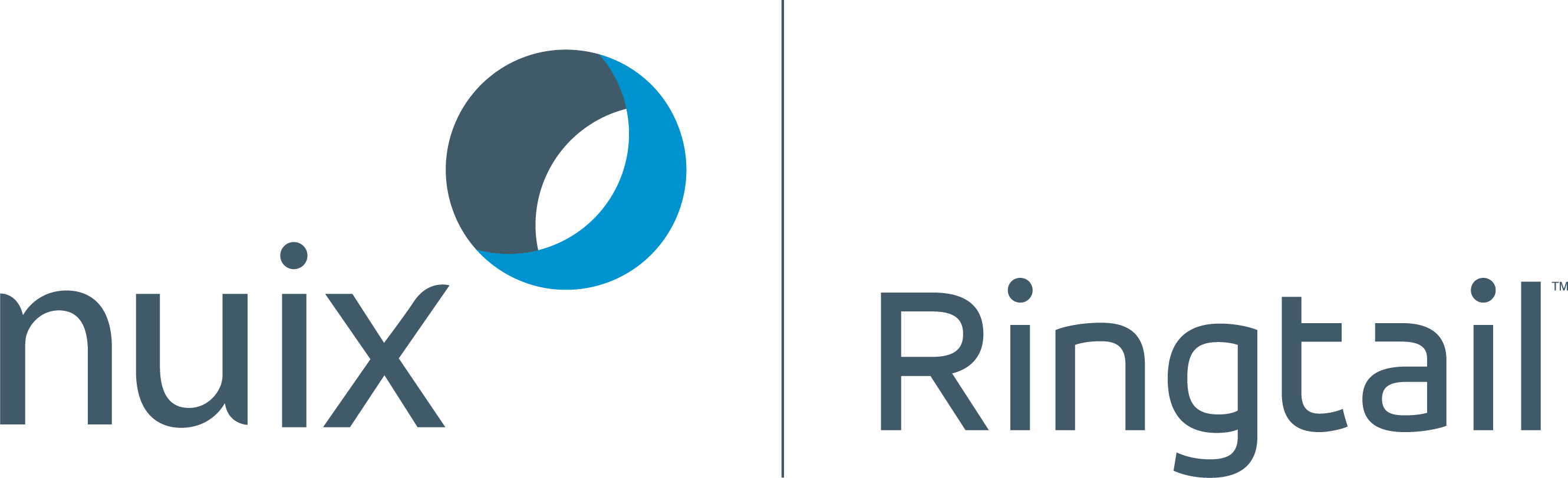 Nuix Ringtale Logo - Ringtail (2660x812), Png Download