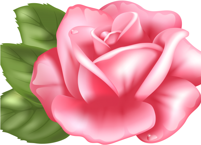 Yellow Rose Clipart Rosebud - Clip Art (640x480), Png Download