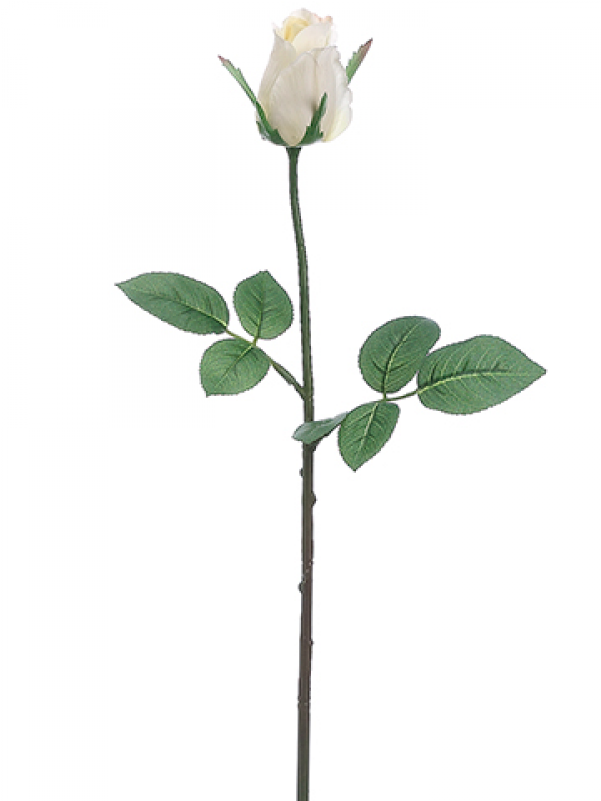 5" Rose Bud Spray White - Garden Roses (800x800), Png Download