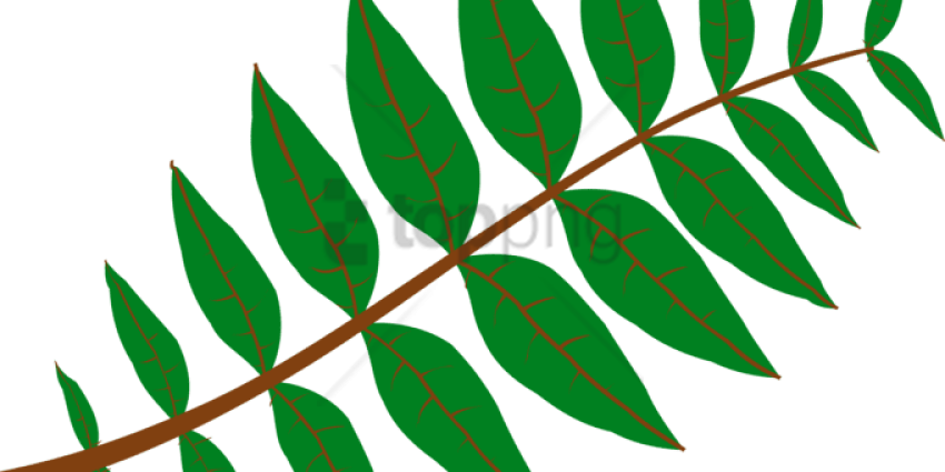 Free Png Download Leaf Png Images Background Png Images - Leaf Clip Art (850x425), Png Download