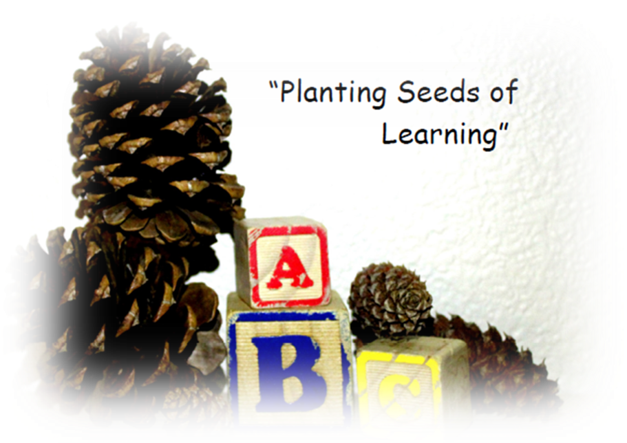 Alternate Pineconelogo - Two Needle Pinyon Pine (952x685), Png Download