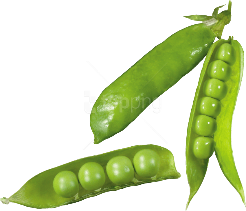 Free Png Pea Png Images Transparent - Pea (850x728), Png Download