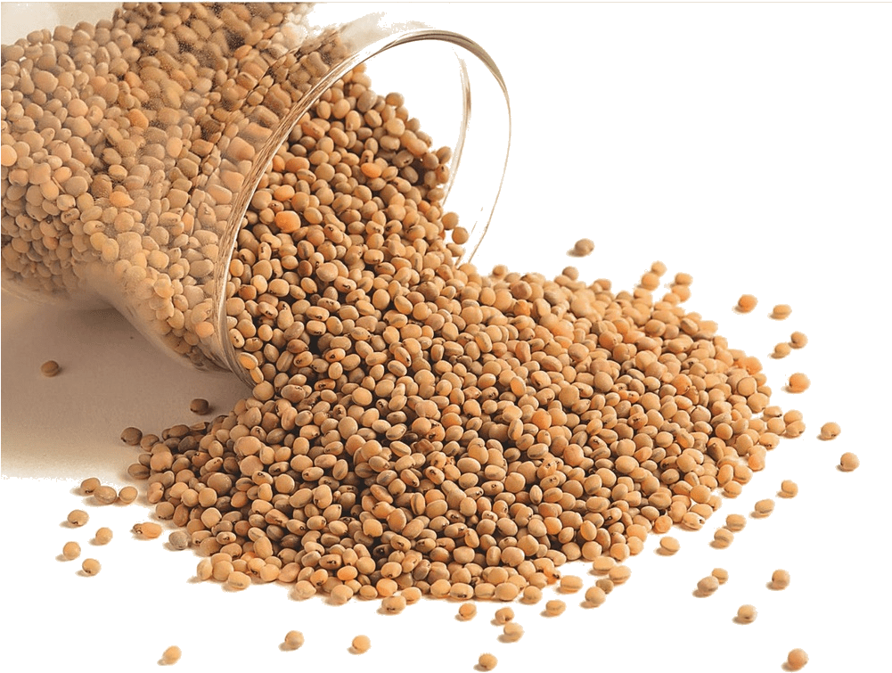 Various Compounds, Minerals And Proteins In Pigeon - Sorghum Grain (1000x800), Png Download