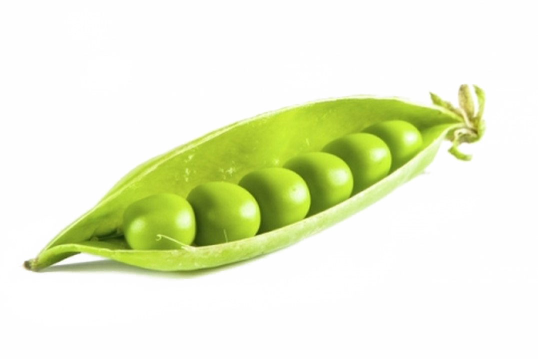 Pea Png Background Image - Vegetable Png (1077x720), Png Download