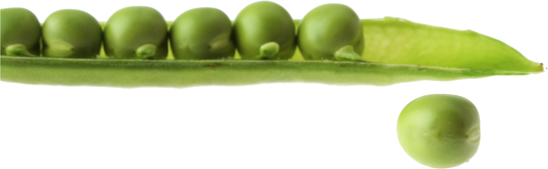 Snap Pea (2000x1000), Png Download