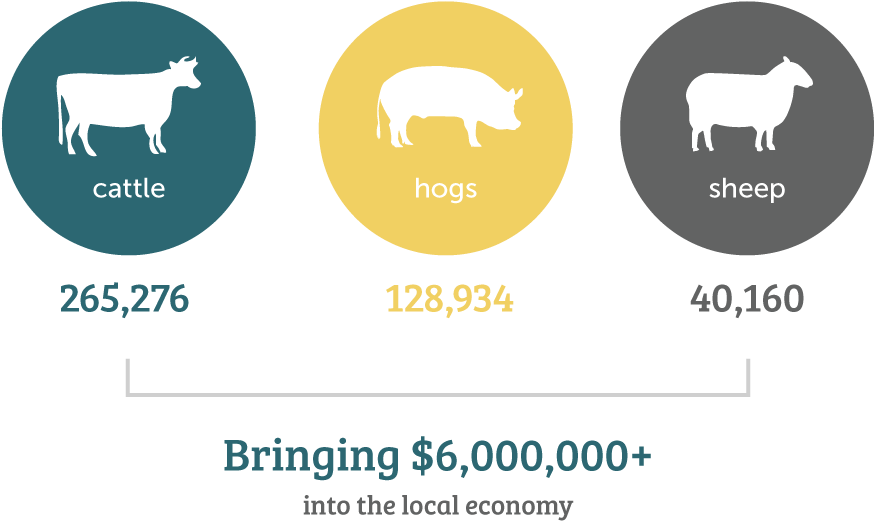 The Brief, Exciting Life Of Niles City - Sheep (883x526), Png Download