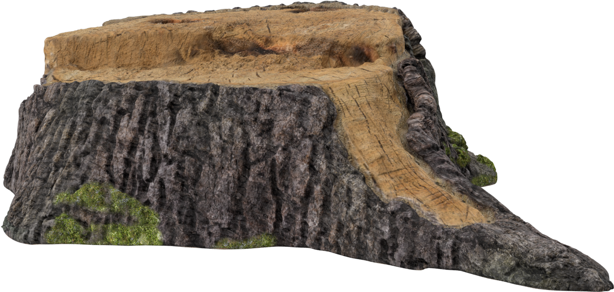 Luxury Homes And Distinctive Properties For Sale - Tree Stump (2048x2048), Png Download