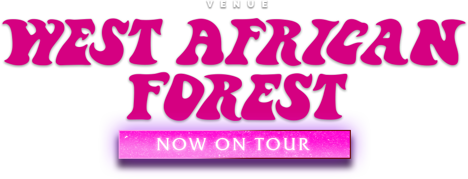 West African Forest - Art (923x354), Png Download