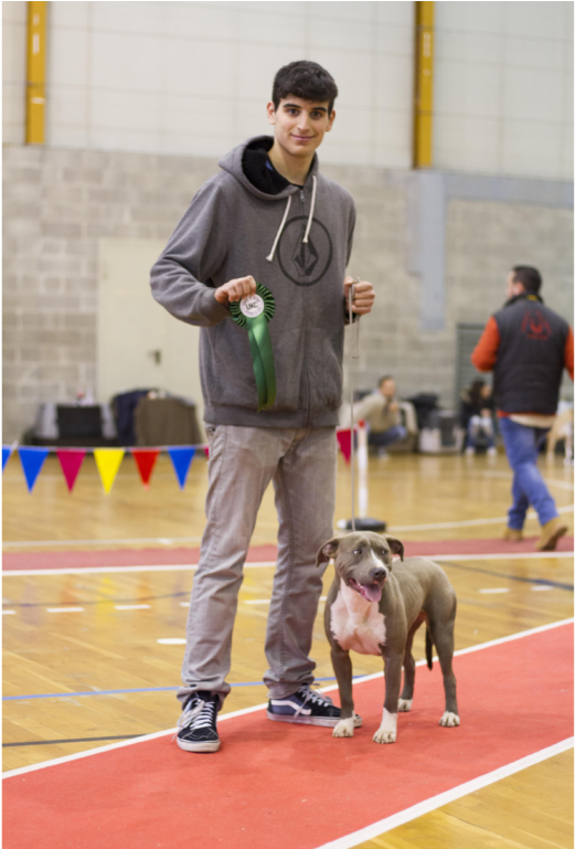 Dog Informations - Dog Catches Something (1024x768), Png Download