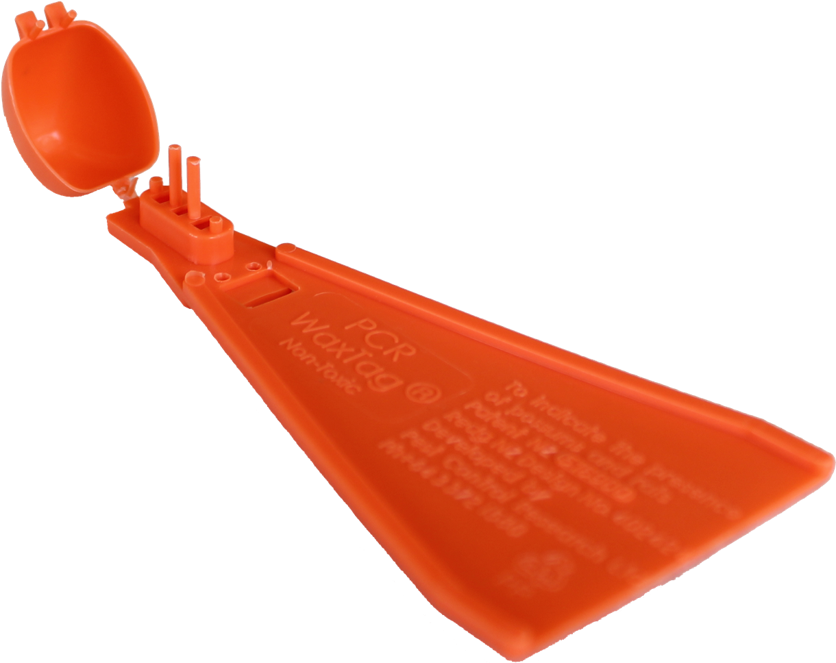 Picture Of Plain Waxtags For Possum Monitoring - Wax Tags (1280x1025), Png Download