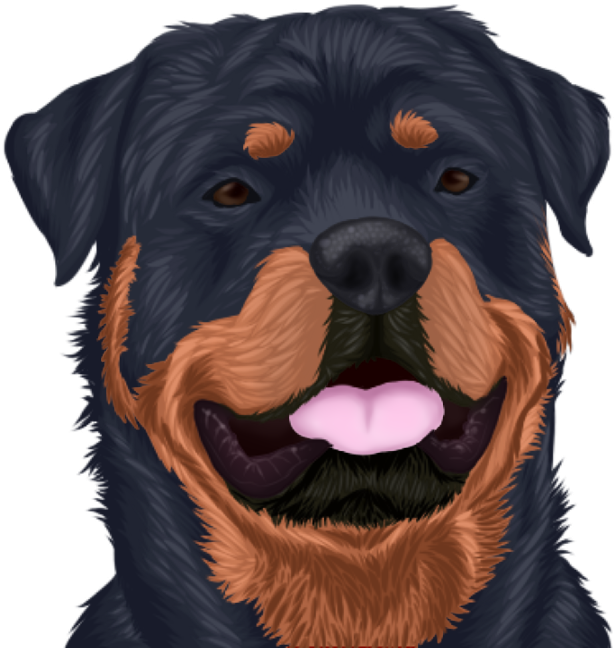 Rottie Design Shade Crop Fin Right Size - Rottweiler (2420x2426), Png Download