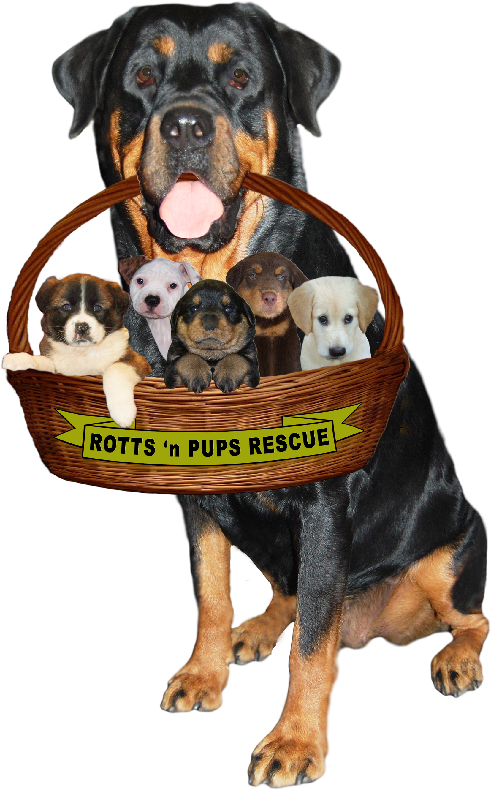 A 501 (3) Public Charity (2072x3000), Png Download