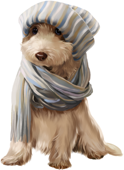 Clip Art - Afghan Hound (600x743), Png Download
