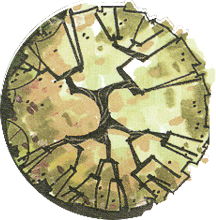 The Perfect Visit For A Curious Architecture Student - Trees In Plan Png (900x900), Png Download