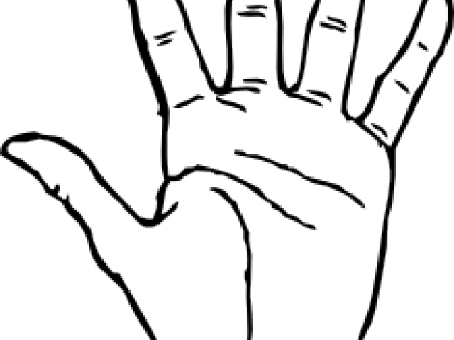 Fingers Clipart Back Hand - Hand Clip Art (640x480), Png Download