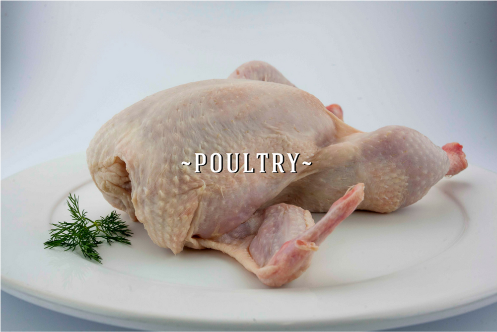 Chicken Drumstick Png (1000x1000), Png Download