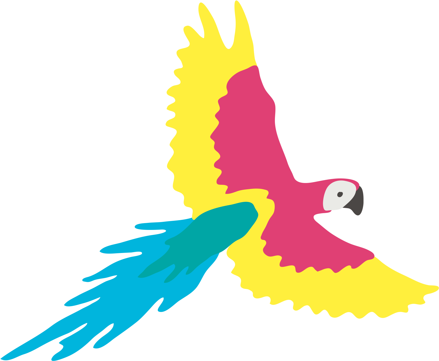 Macaw (2058x1582), Png Download