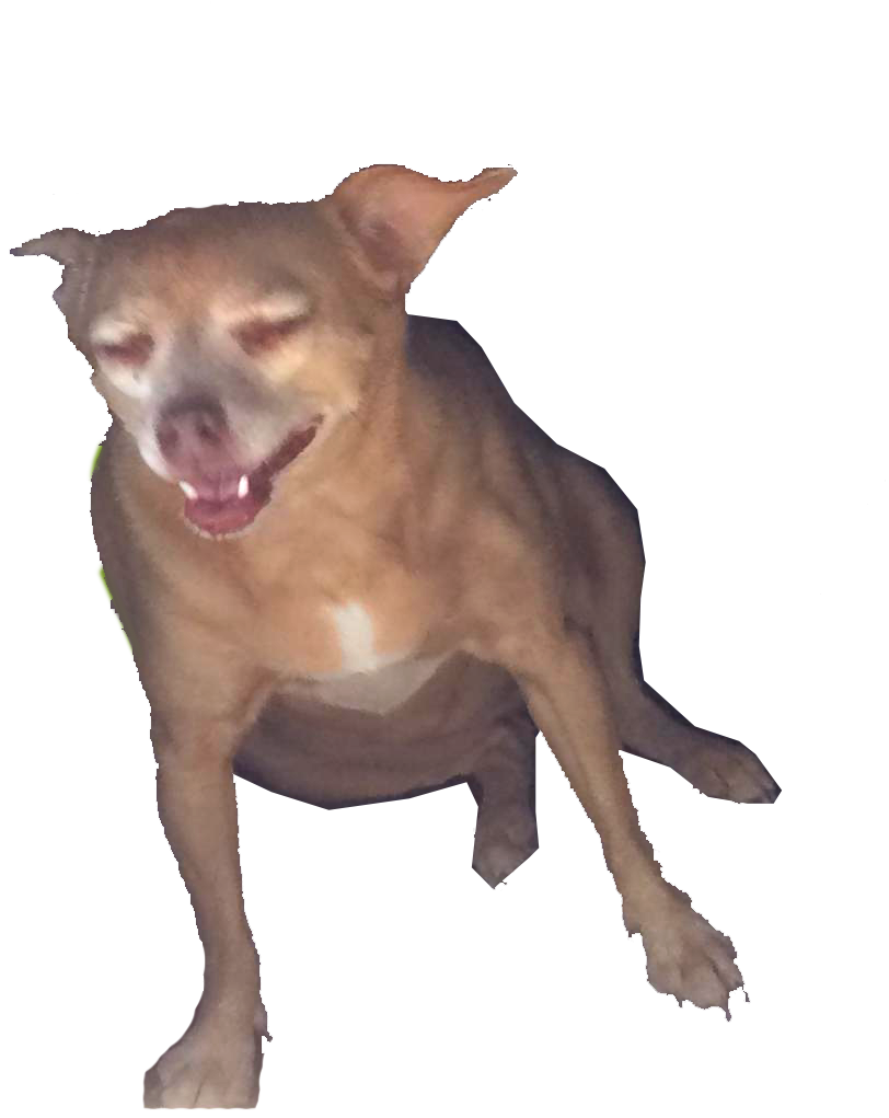Laughing Doggo - Dog Yawns (1060x1084), Png Download