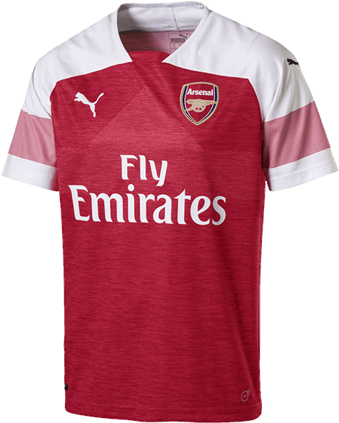 Arsenal Fc Adults Home Jersey 2018/19 - Arsenal Jersey 2018 2019 (600x600), Png Download