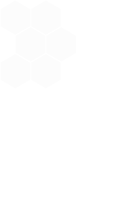 Corporate-home Hex Big - Footprint (428x765), Png Download