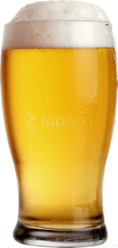 Free Png Beer Png Images Transparent - Glass Of Beer Png (480x1007), Png Download