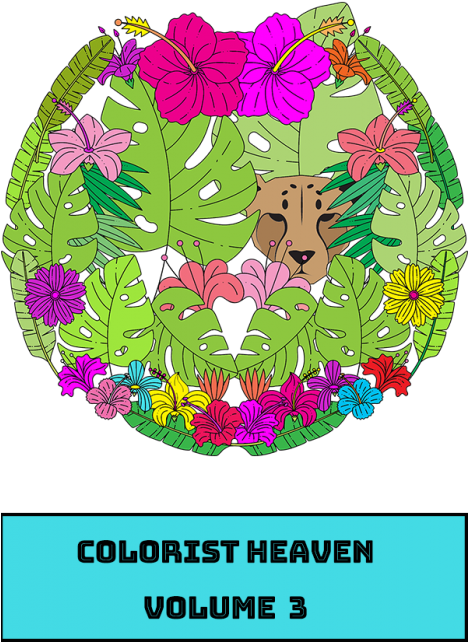 Adult Coloring Books - Illustration (467x700), Png Download