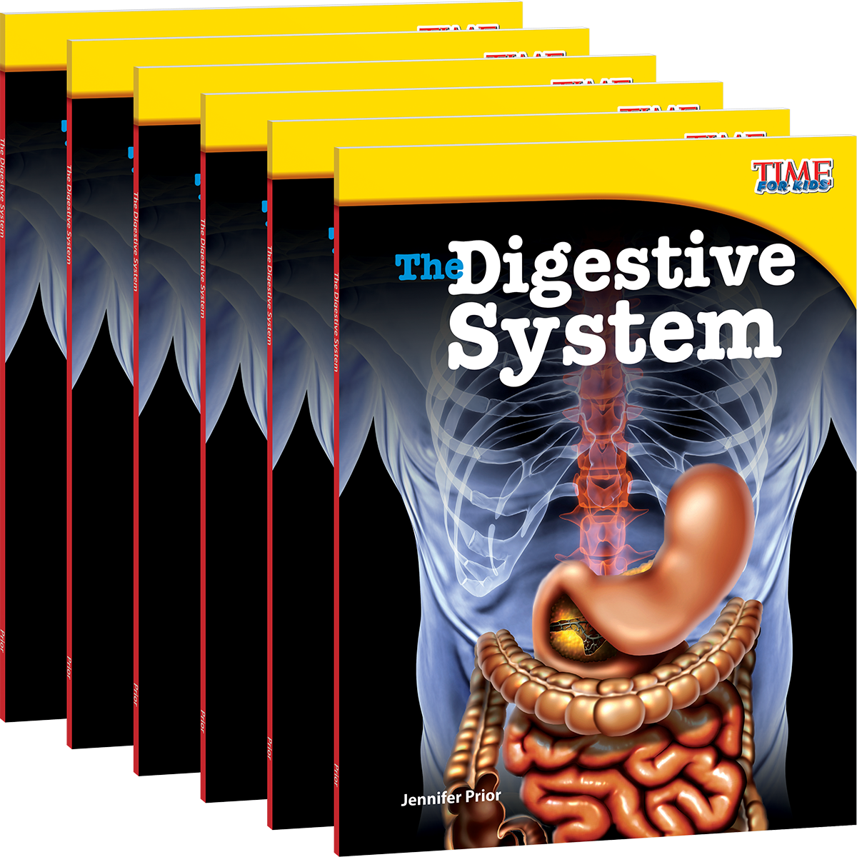 Kids Digestive System (1200x1200), Png Download