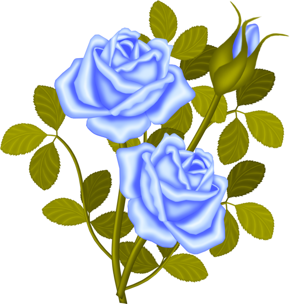 Fm Bt Just Married Element - Rose Plant Clipart Png (596x623), Png Download