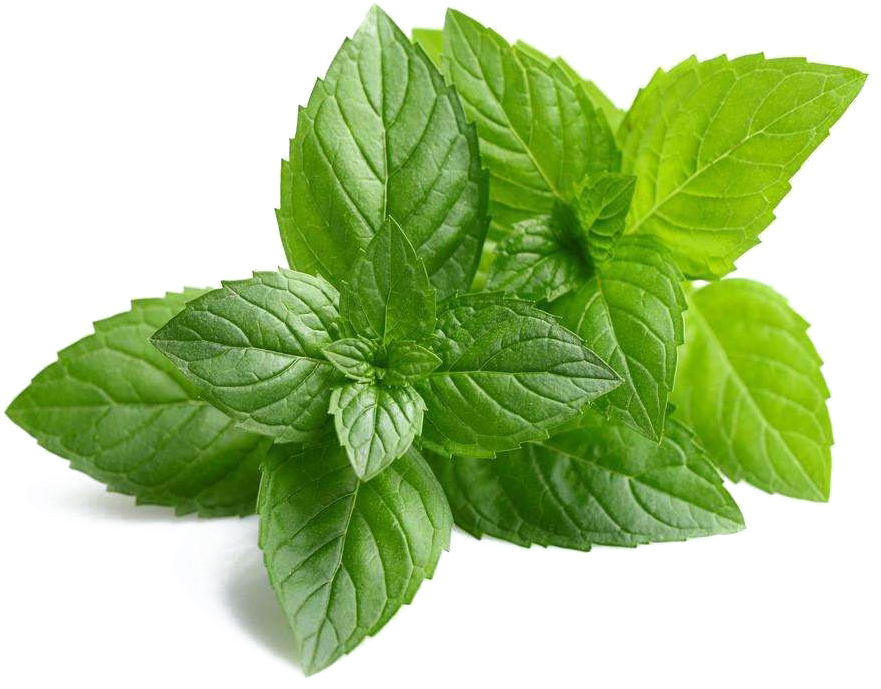 Mint Png Images Hd - Neem Extract (1000x1000), Png Download