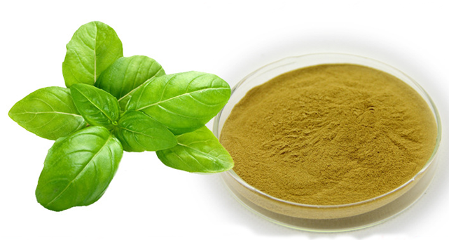 Basil Natural Plant, Basil Natural Plant Suppliers - فایده ریحان (640x640), Png Download