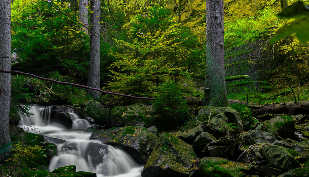 Score 50% - Wallpaper (1000x1000), Png Download