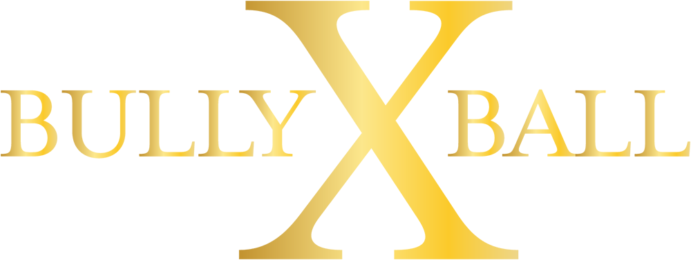 The Bully Ball Fundraiser To Benefit The Georgia English - Connelly School Of The Holy Child (1000x377), Png Download