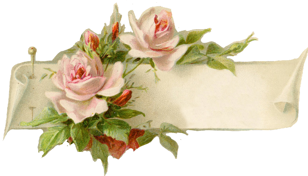 #vintage #rose #paris - Buon Compleanno Monica Gif (1024x585), Png Download