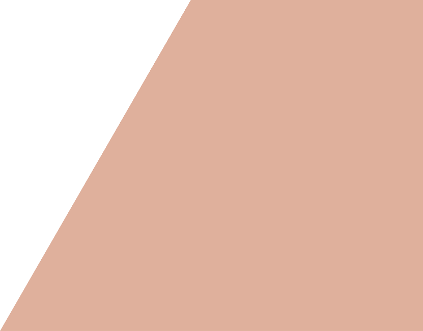 Slider 2 3 Bg - Bronze (831x650), Png Download